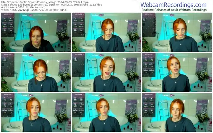 2024/09/03/stripchat-phoenix_margo-07-46-44