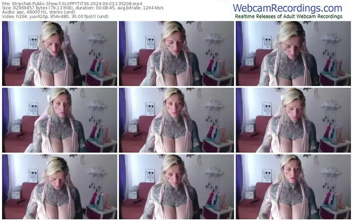 2024/09/03/stripchat-sloppytitss-13-52-08