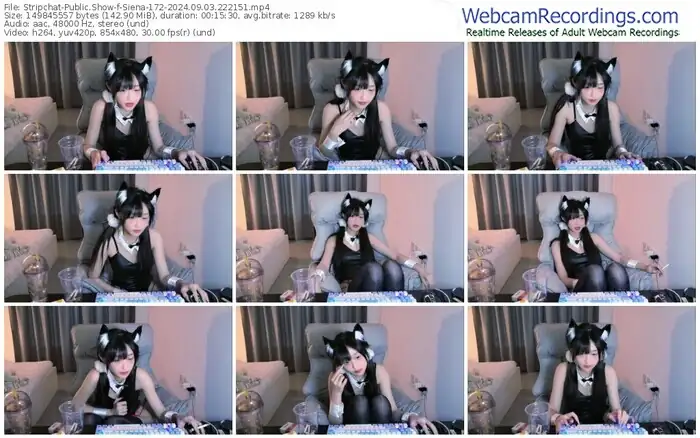 2024/09/03/stripchat-siena-172-22-21-51
