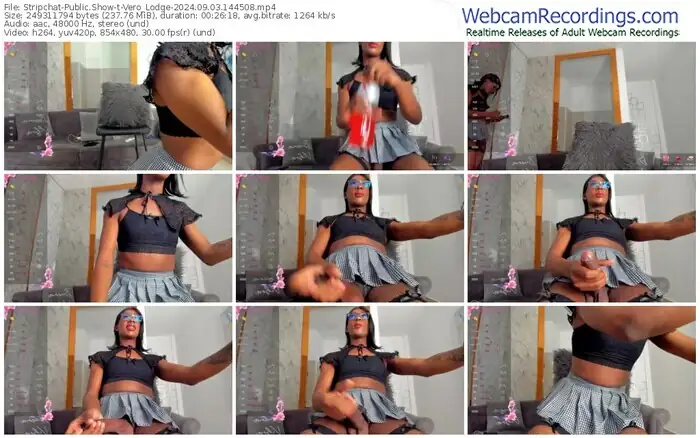 2024/09/03/stripchat-vero_lodge-14-45-08