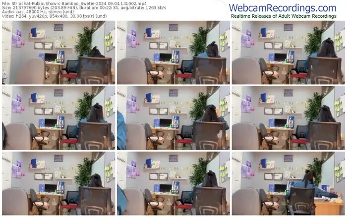 2024/09/04/stripchat-bamboo_swetie-14-10-02