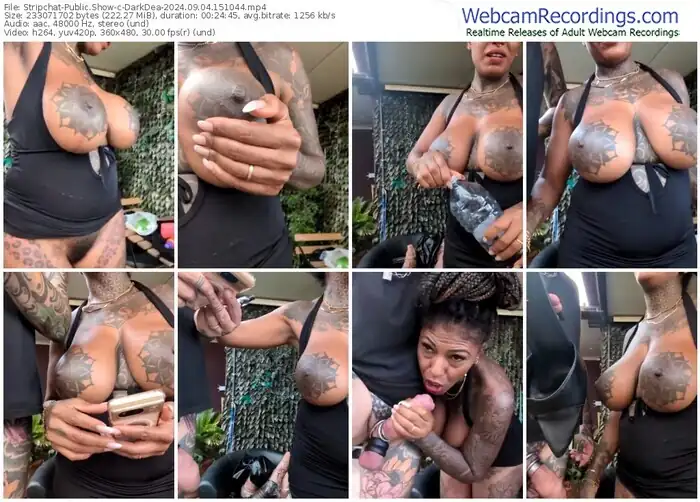 2024/09/04/stripchat-darkdea-15-10-44