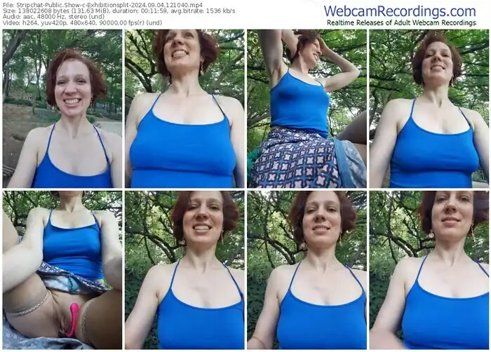 2024/09/04/stripchat-exhibitionsplit-12-10-40