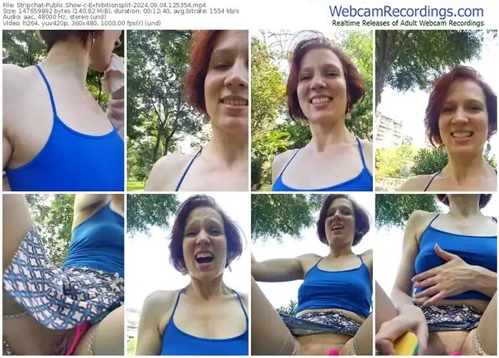 2024/09/04/stripchat-exhibitionsplit-12-53-54