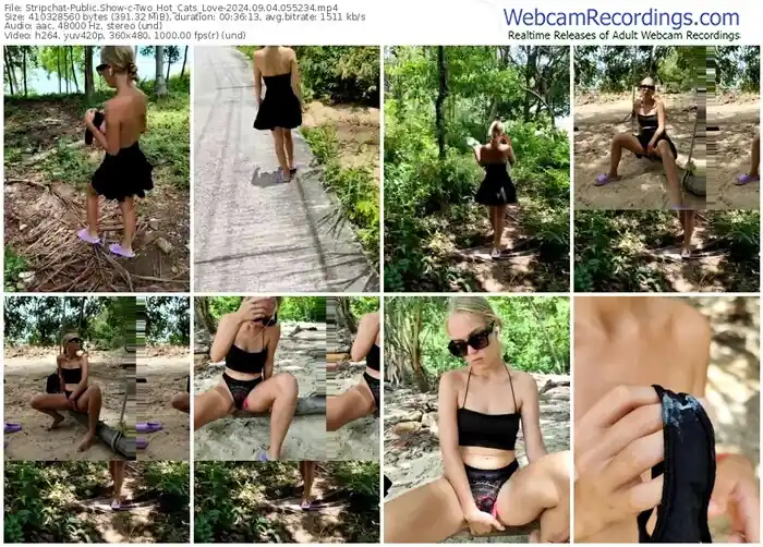 2024/09/04/stripchat-two_hot_cats_love-05-52-34