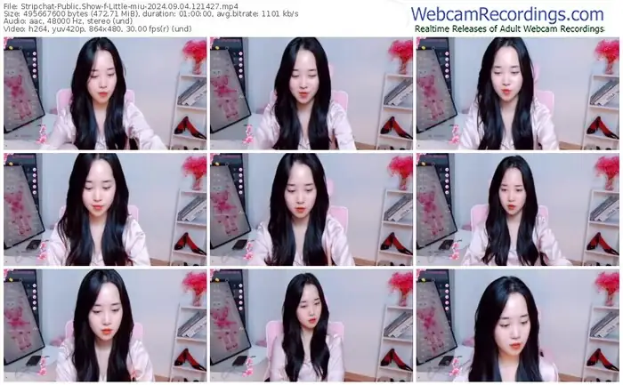 2024/09/04/stripchat-little-miu-12-14-27