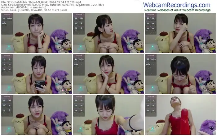 2024/09/04/stripchat-n_hibiki-15-15-50