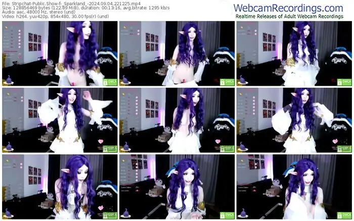 2024/09/04/stripchat-_sparkland_-22-12-25