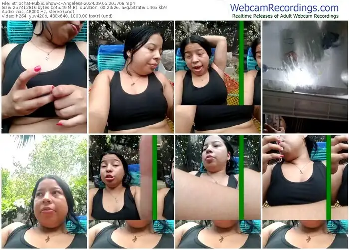 2024/09/05/stripchat--angeless-20-17-08
