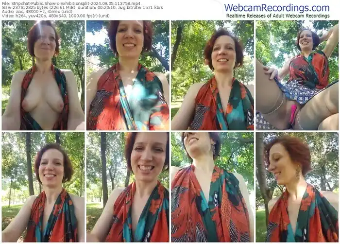 2024/09/05/stripchat-exhibitionsplit-11-37-58