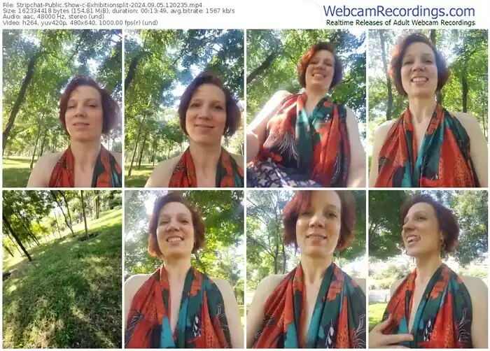 2024/09/05/stripchat-exhibitionsplit-12-02-35