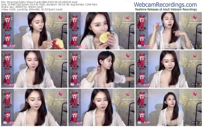 2024/09/05/stripchat-ledo-888-09-45-32