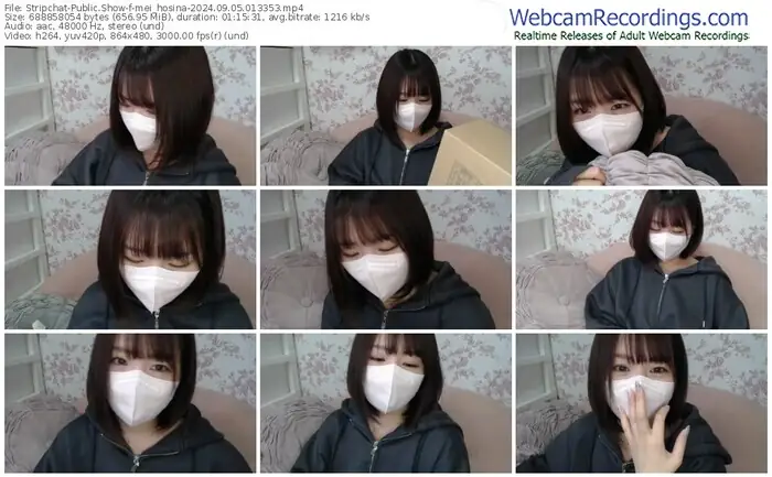 2024/09/05/stripchat-mei_hosina-01-33-53