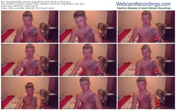 2024/09/05/stripchat-dawidstrip-11-33-24