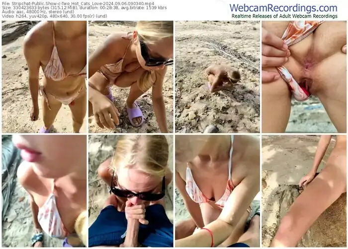 2024/09/06/stripchat-two_hot_cats_love-09-03-40
