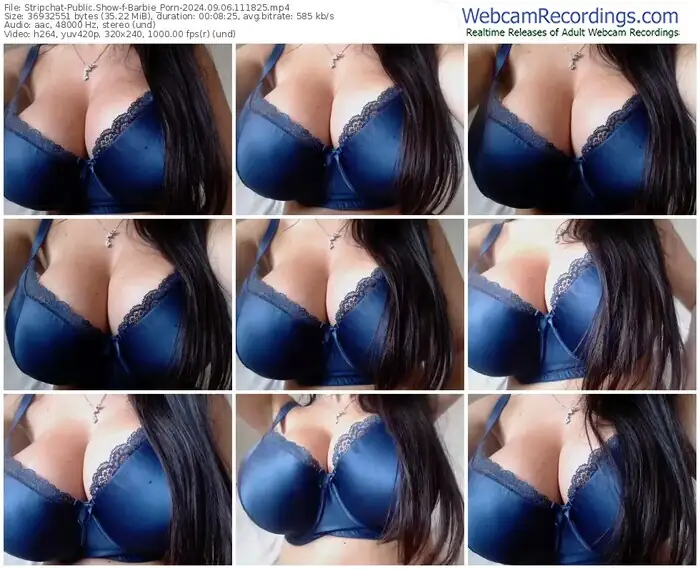 2024/09/06/stripchat-barbie_porn-11-18-25