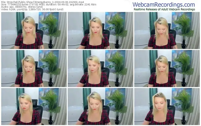2024/09/06/stripchat-energybunny_1-19-29-01