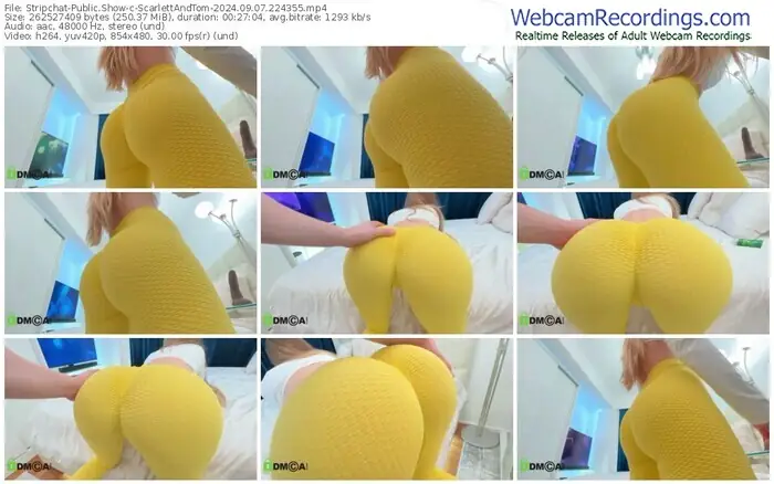 2024/09/07/stripchat-scarlettandtom-22-43-55