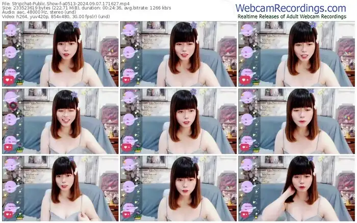 2024/09/07/stripchat-a0513-17-16-27