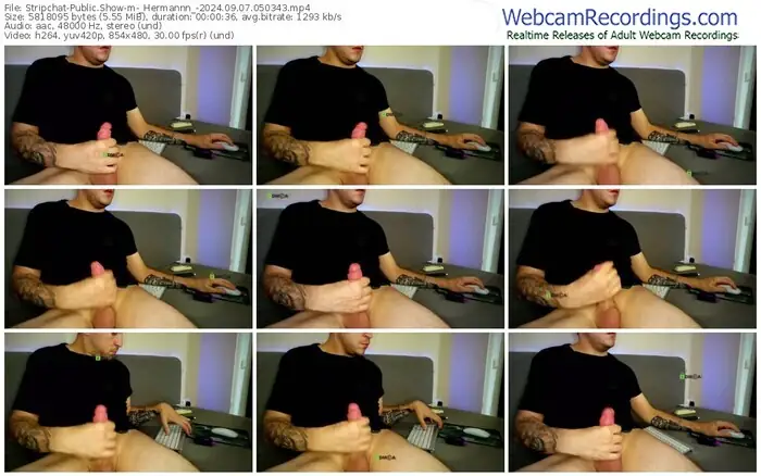 2024/09/07/stripchat-_hermannn_-05-03-43