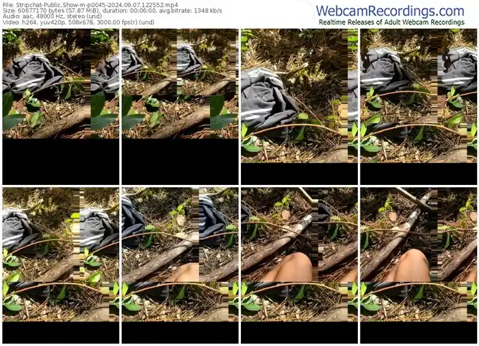 2024/09/07/stripchat-p0045-12-25-52