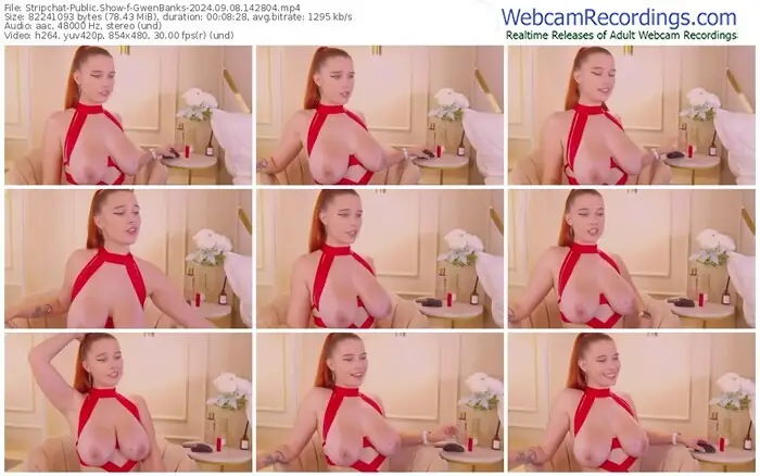 2024/09/08/stripchat-gwenbanks-14-28-04