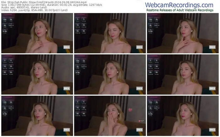 2024/09/08/stripchat-holl1would-04-02-44