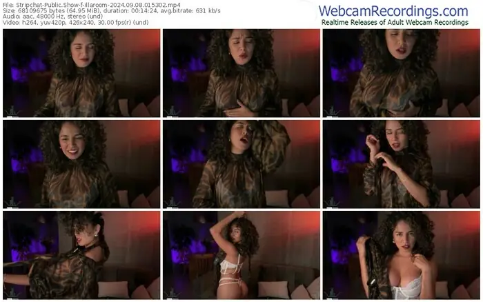 2024/09/08/stripchat-illaroom-01-53-02