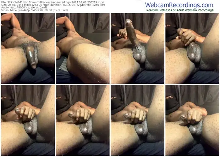 2024/09/08/stripchat-black-mamba-madingo-23-02-19