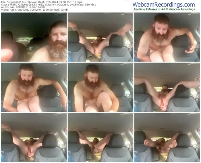 2024/09/08/stripchat-redfurr69-15-31-52