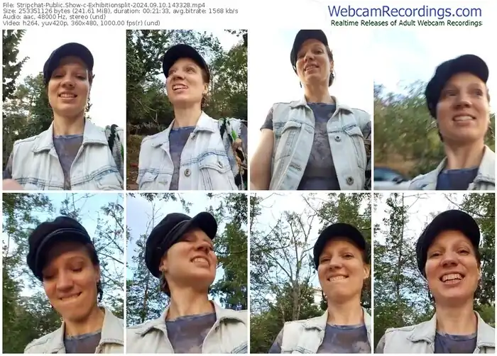 2024/09/10/stripchat-exhibitionsplit-14-33-28