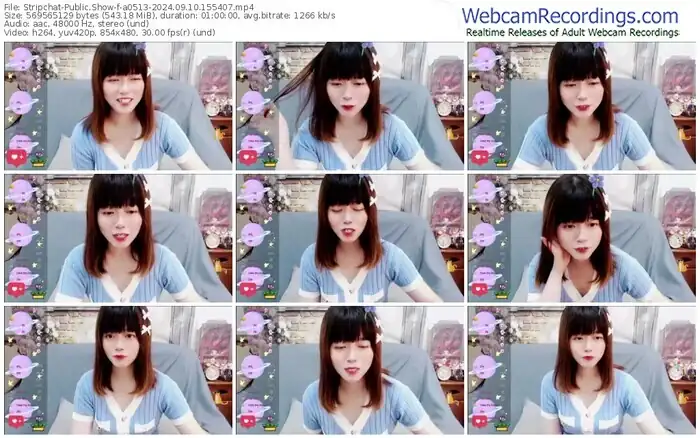 2024/09/10/stripchat-a0513-15-54-07