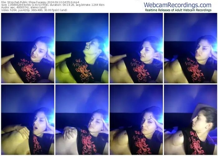 2024/09/10/stripchat-waspy-04-35-16