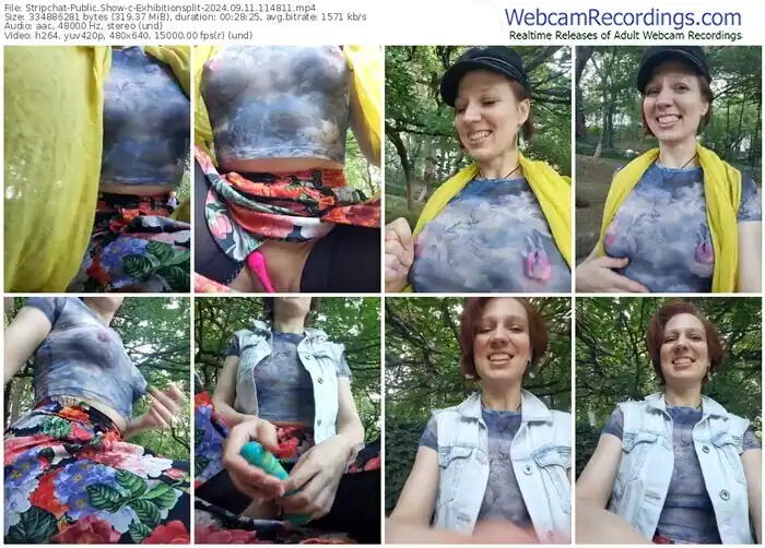 2024/09/11/stripchat-exhibitionsplit-11-48-11