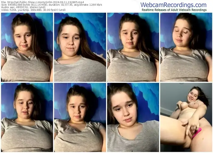 2024/09/11/stripchat-hornygirlh-19-28-05