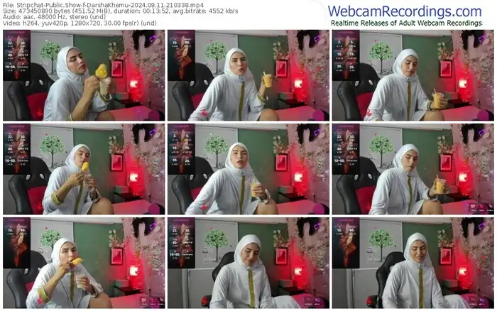 2024/09/11/stripchat-darshakhemu-21-03-38