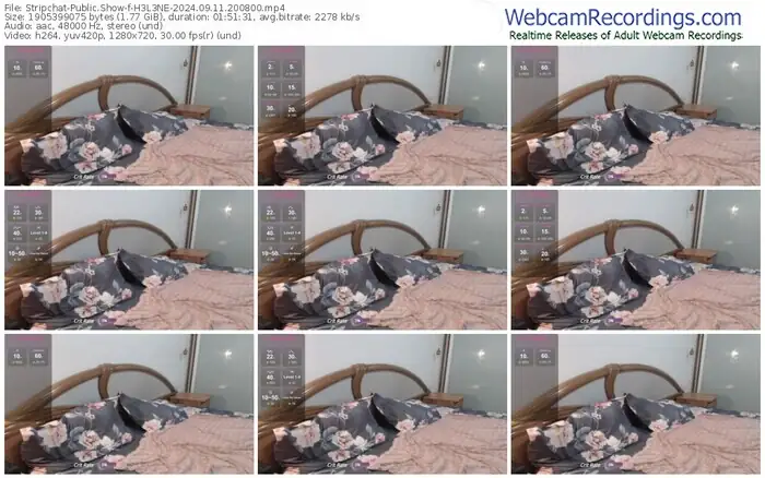 2024/09/11/stripchat-h3l3ne-20-08-00