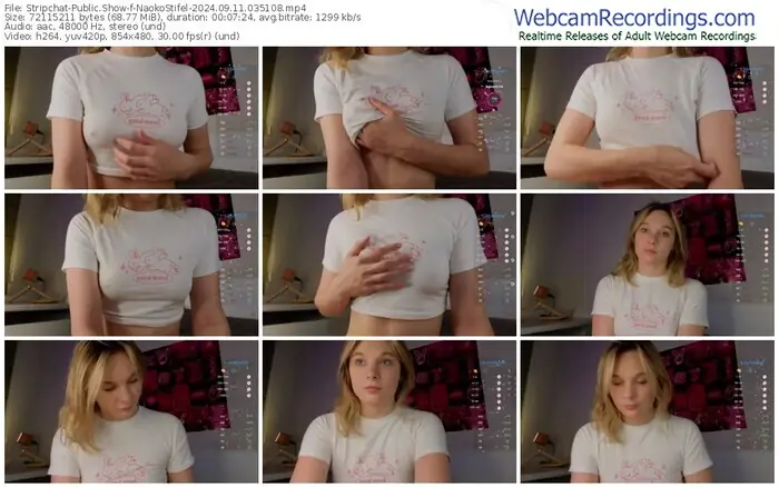 2024/09/11/stripchat-naokostifel-03-51-08