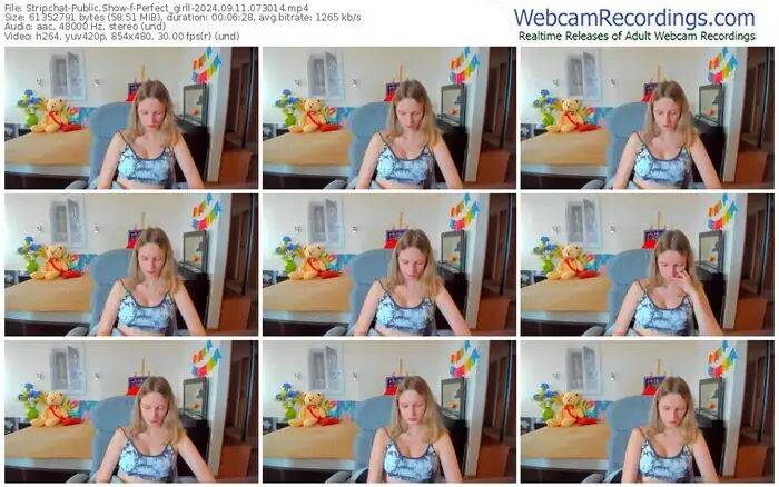 2024/09/11/stripchat-perfect_girll-07-30-14