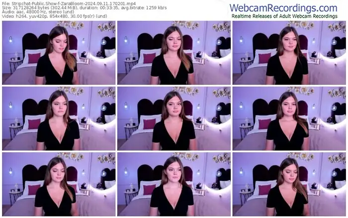 2024/09/11/stripchat-zarabloom-17-02-01