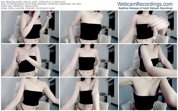 2024/09/11/stripchat-_omo_-17-49-45