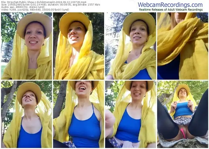 2024/09/12/stripchat-exhibitionsplit-10-37-26