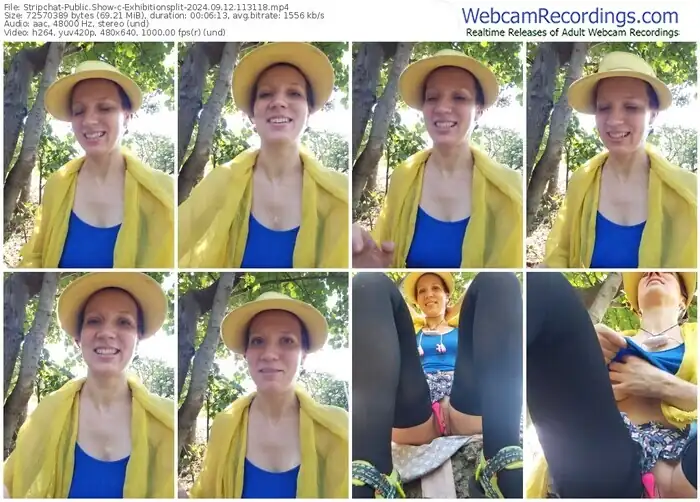 2024/09/12/stripchat-exhibitionsplit-11-31-18