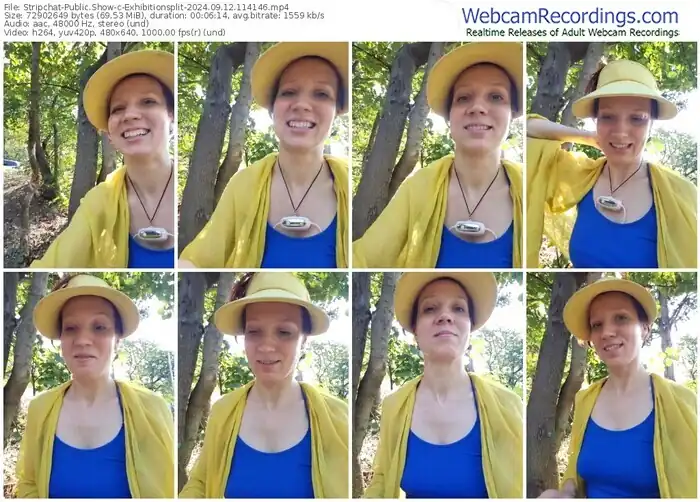 2024/09/12/stripchat-exhibitionsplit-11-41-46