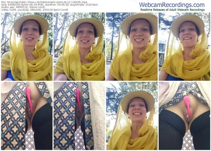 2024/09/12/stripchat-exhibitionsplit-13-00-35