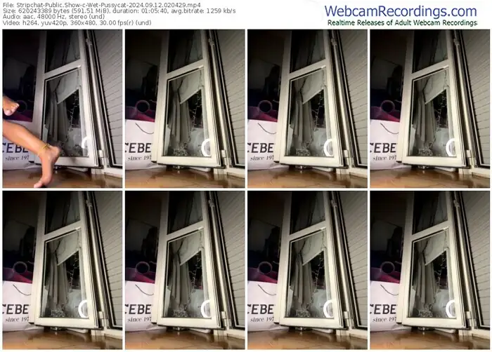 2024/09/12/stripchat-wet-pussycat-02-04-29