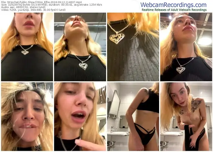 2024/09/12/stripchat-miss_elfie-11-46-37
