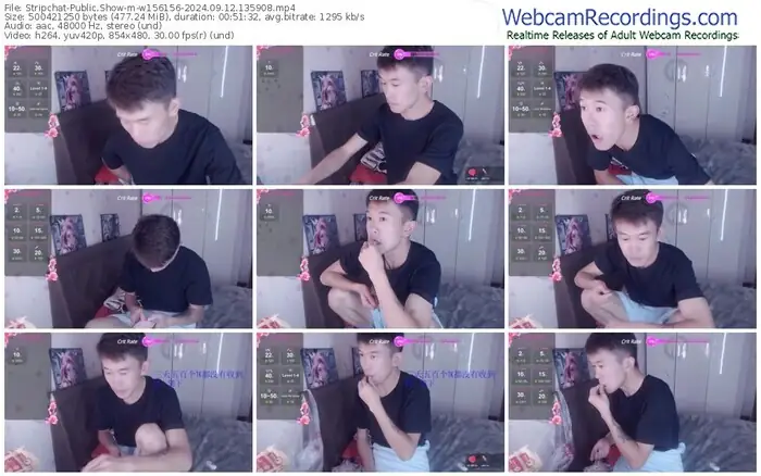 2024/09/12/stripchat-w156156-13-59-08