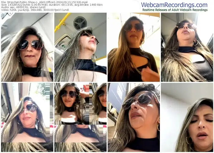2024/09/13/stripchat-_abril-office1-15-13-20