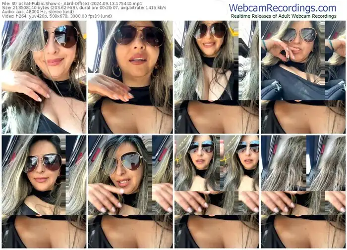 2024/09/13/stripchat-_abril-office1-17-54-40